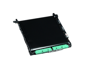 Transfer Belt